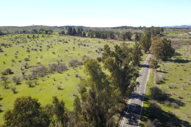 Estancia Cauquenes